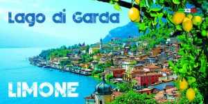 Magn. Piastrella Cm 10X5 Lago - Limone