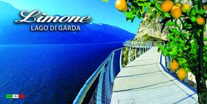 Magn. Piastrella Cm 10X5 Lago - Limone