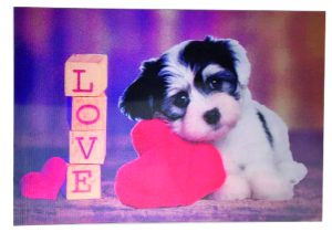 Cartolina F/To 12X17 "3D-Flip" Cagnolino Love