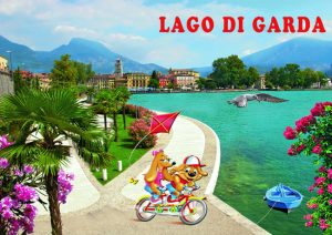 Cartolina F/To 12X17 "3D" Lago Riva D/Garda