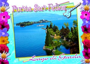 Cartolina F/To 10,5X15 Veduta Punta San Felice