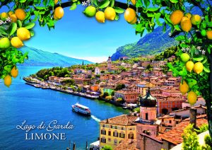 Cartolina F/To 10,5X15 Veduta Limone