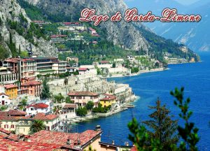 Cartolina F/To 12X17 Fustellata Limone