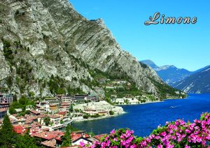 Cartolina F/To 10,5X15 Veduta Limone