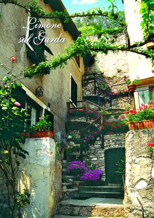 Cartolina F/To 10,5X15 Veduta Lago Scorcio Limone Vert.