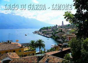 Cartolina F/To 12X17 Fustellata Limone