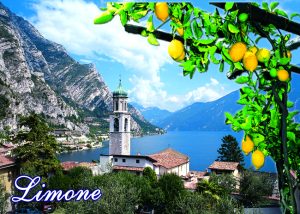Cartolina F/To 10,5X15 Veduta Limone