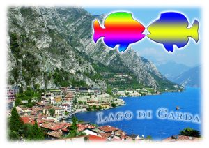 Cartolina F/To 12X17 Fustellata Loc. Lago Di Garda
