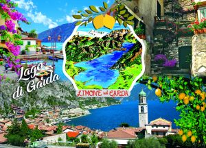 Cartolina F/To 10,5X15 Veduta Limone