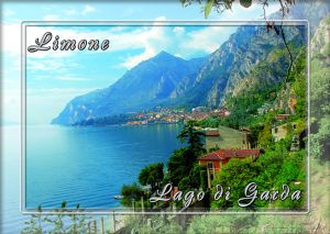 Cartolina F/To 10,5X15 Veduta Limone