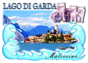 Cartolina F/To 12X17 Fustellata Malcesine
