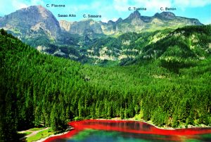 Cartolina F/To 10,5X15 Veduta Dolom. Di Brenta Lago Di Tovel