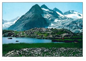 Cartolina F/To 10,5X15 Veduta Presanella Gruppo Adamello