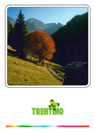 Cartolina F/To 12X17 Veduta Trentino