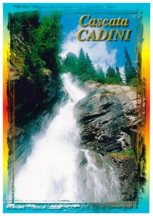 Cartolina F/To 10,5X15 Veduta P.Naz.Stelvio Casc. Rio Cadini