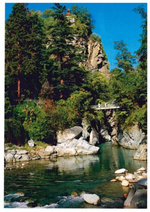 Cartolina F/To 10,5X15 Veduta Merano