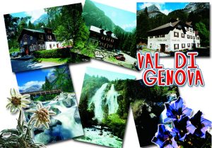 Cartolina F/To 10,5X15 Veduta Presanella Val Di Genova