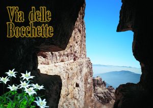 Cartolina F/To 10,5X15 Veduta Dol.Di Brenta Via D. Bocchette