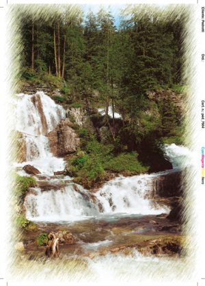 Cartolina F/To 10,5X15 Veduta M.D.Campiglio Casc. Di Valles.