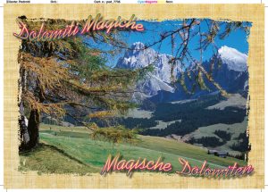 Cartolina F/To 10,5X15 Veduta Dolom. Magiche Gr. Sassolungo