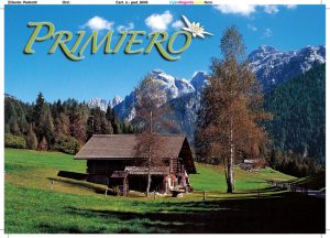 Cartolina F/To 10,5X15 Veduta Primiero