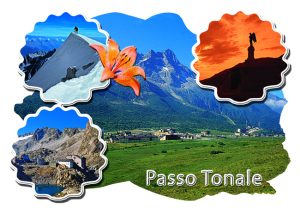 Cartolina F/To 12X17 Fustellata Passo Tonale