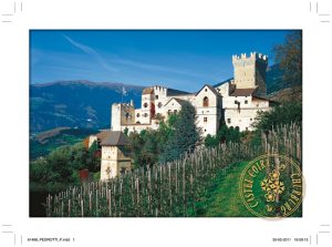 Cartolina F/To 12X17 Fustellata Castelli - Castel Coira