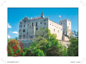 Cartolina F/To 12X17 Fustellata Castelli - Castel Brunico