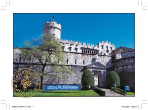 Cartolina F/To 12X17 Fust. Castelli-Cast. D.  Buonconsiglio