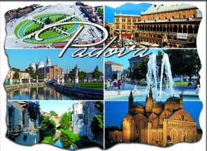 Magnete Marmo Rett. Cm 8X6 Padova