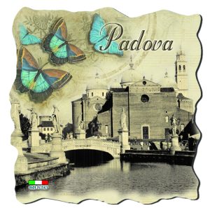 Magn. Marmo Quadrato Cm 5X5 Padova Farfalle