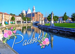 Cartolina F/To 12X17 Veduta Padova