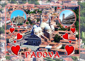 Cartolina F/To 12X17 Veduta Padova