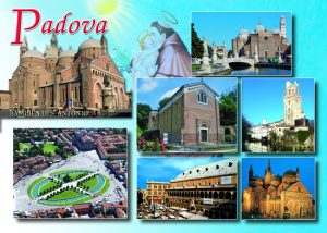 Cartolina F/To 12X17 Veduta Padova