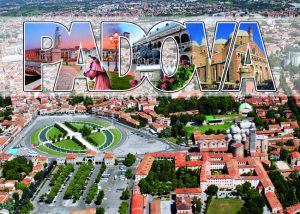 Cartolina F/To 12X17 Veduta Padova