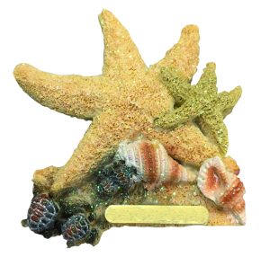 Magnete Res. Fust. Mare Stella Marina Sabbia
