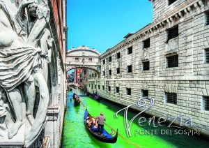 Cartolina F/To 10,5X15 Veduta Venezia